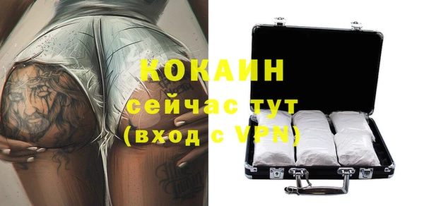прущие грибы Семикаракорск