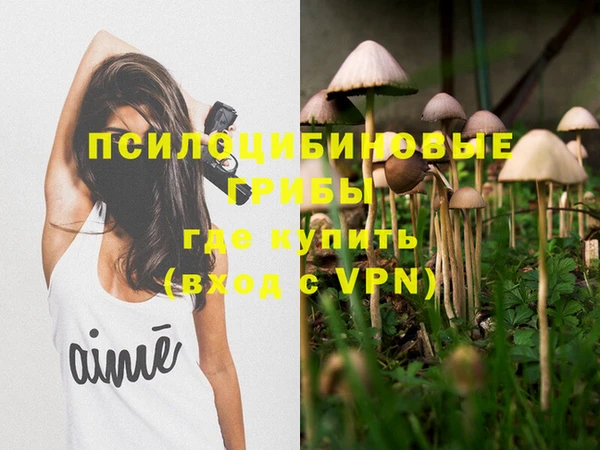 2c-b Богданович