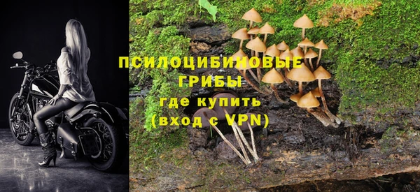 кокс Богородск