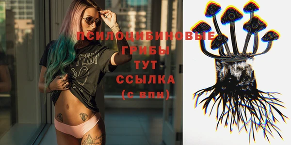 2c-b Богданович