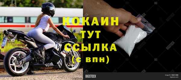гидра Белокуриха